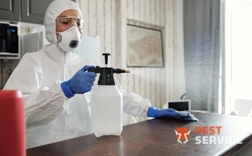 Дезинфекция в Благовещенске